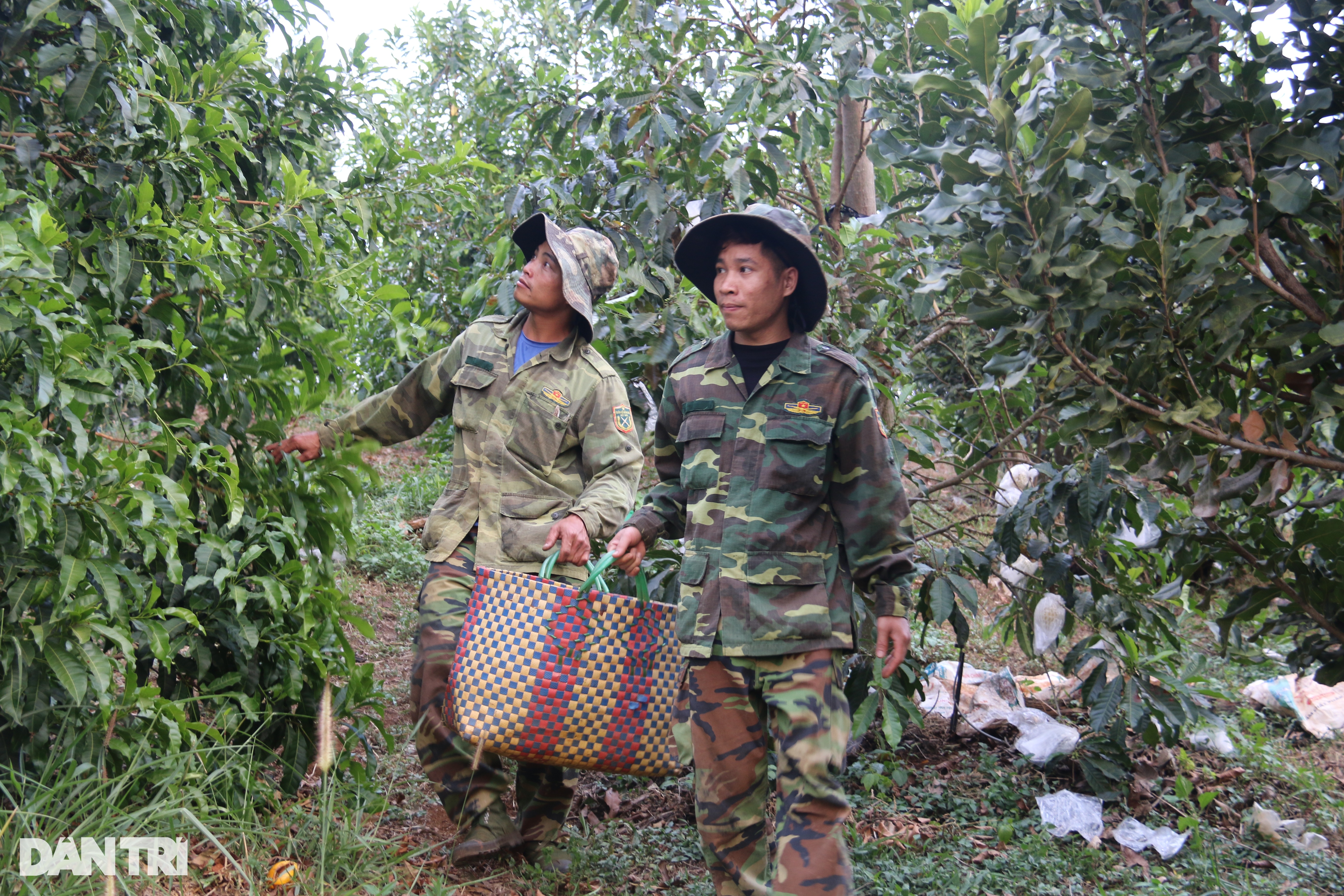 Vỗ vú sữa bằng tỏi ngâm rượu, nông dân trẻ thu trăm triệu mỗi năm - 5 Vỗ vú sữa bằng tỏi ngâm rượu, nông dân trẻ thu trăm triệu mỗi năm - 5