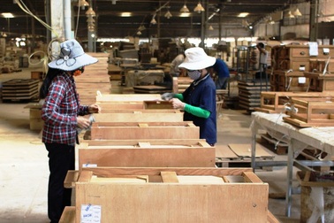 Nhiều doanh nghiệp “quỵt” tiền bảo hiểm người lao động hàng tỷ đồng