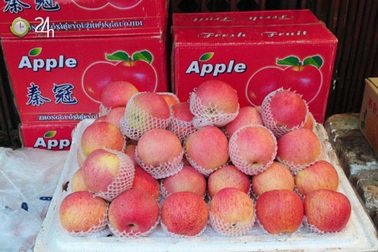 Táo đỏ Fuji bọc túi độc hại bán tràn lan