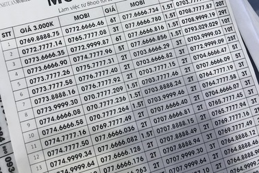 Đầu số di động mới tấn công thị trường, sức mua tăng