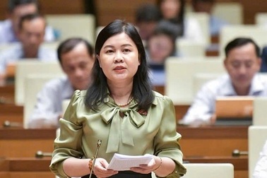 "Cần thực hiện cuộc cách mạng về sắp xếp, tinh gọn hệ thống pháp luật"