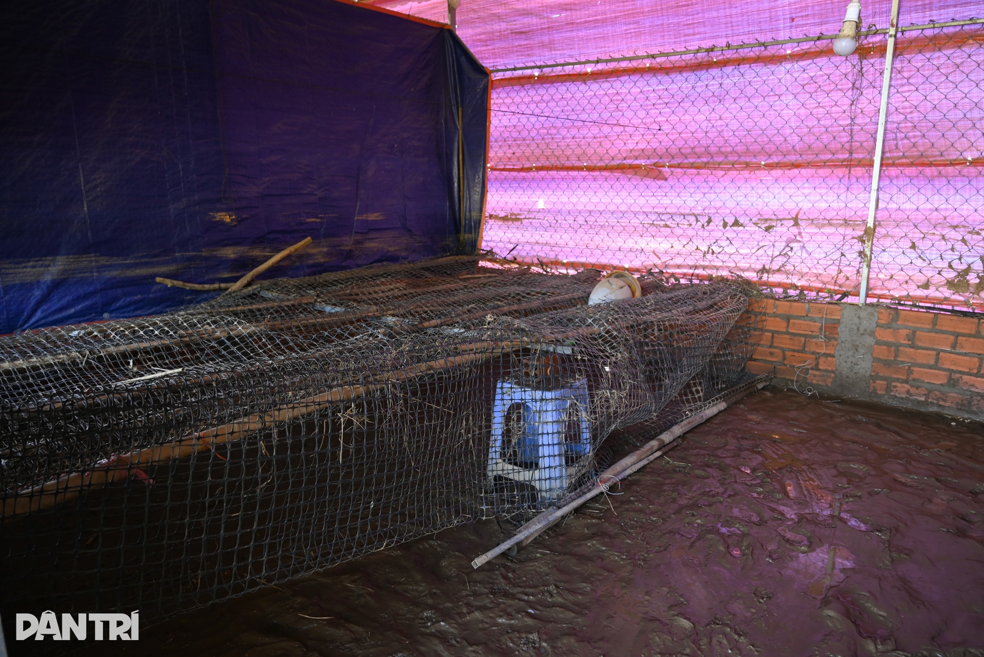 Lũ gây mất mùa, nông dân vùng Bình Thuận hết ngóng Tết - 3 Lũ gây mất mùa, nông dân vùng Bình Thuận hết ngóng Tết - 3