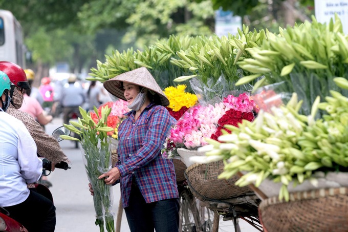 Hà Nội trong sắc trắng tinh khôi của hoa loa kèn - Ảnh 5. Hà Nội trong sắc trắng tinh khôi của hoa loa kèn - Ảnh 5.