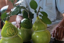 Nhiều "hàng độc" trưng Tết chuẩn bị ra lò 