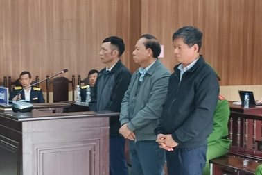 Cựu chủ tịch huyện ở Thanh Hóa lĩnh án tù vì sai phạm đất đai