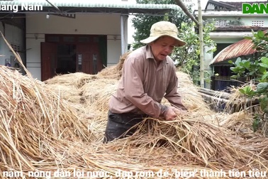 Cuối năm, nông dân lội nước, đạp rơm để "biến" thành tiền tiêu Tết
