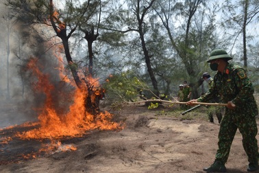 Hàng trăm người chữa cháy rừng phi lao nằm gần sân bay Tuy Hòa