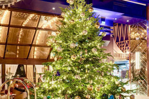 Cây Giáng sinh đắt nhất thế giới phủ kim cương trị giá 15 triệu USD