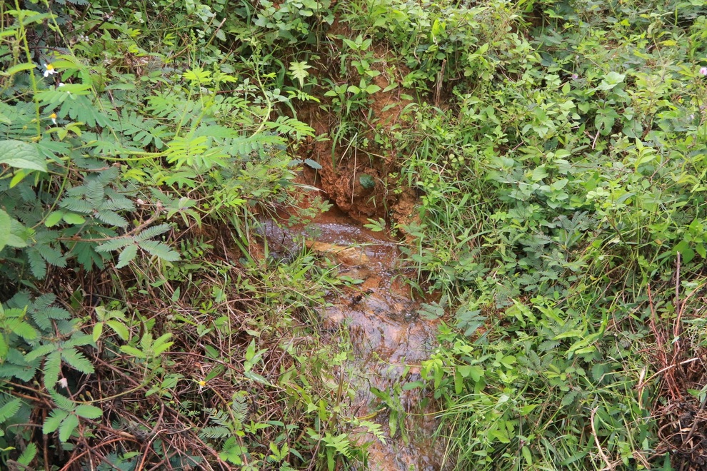 Rò rỉ nước hồ Đập Trời rộng 50 ha, người dân nơm nớp lo sợ - 3 Rò rỉ nước hồ Đập Trời rộng 50 ha, người dân nơm nớp lo sợ - 3