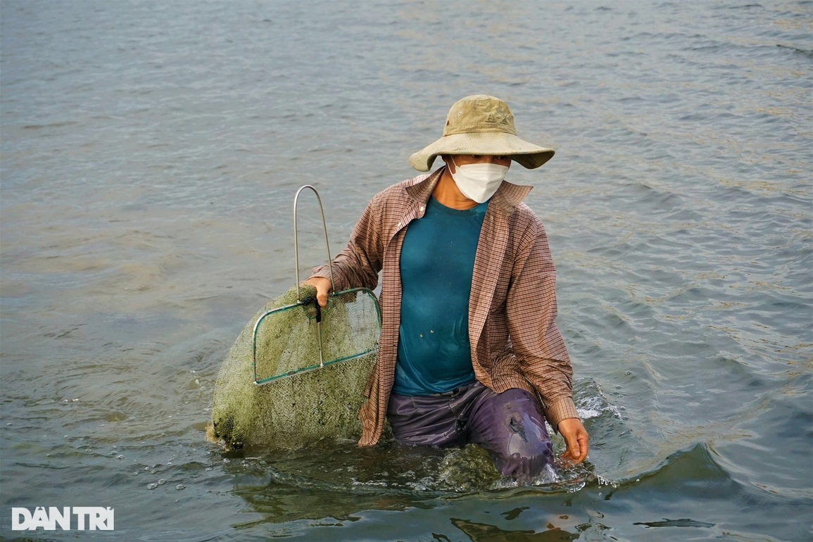 Theo chân những người dầm mình, ngâm nước cào hến ở sông Trường Giang - 3 Theo chân những người dầm mình, ngâm nước cào hến ở sông Trường Giang - 3
