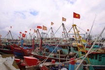 Thái Bình "cấm biển" để chống bão số 2