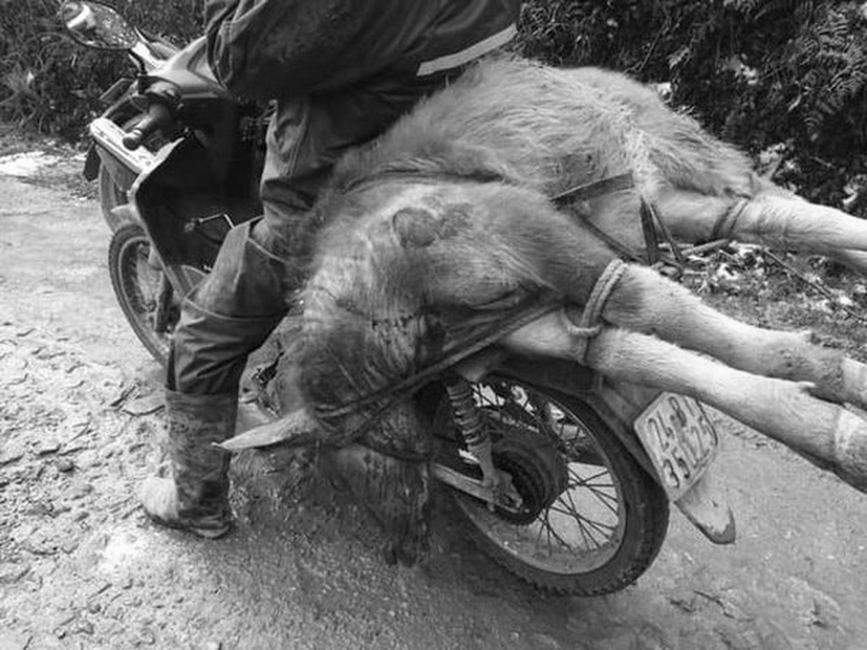 Cuối tuần miền Bắc đón đợt rét mới - 3 Cuối tuần miền Bắc đón đợt rét mới - 3