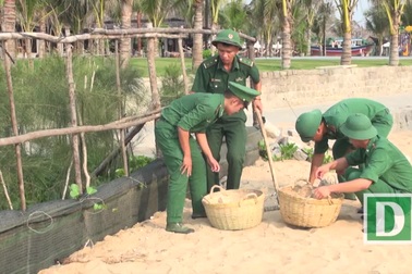 Phú Yên: Hơn 200 đoàn viên tham gia chiến dịch làm sạch bãi biển