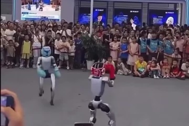 Tình huống hài hước trong màn đấu võ giữa 2 robot hình người tại Trung Quốc