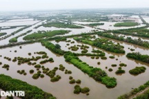 Vụ "xén" khu bảo tồn xây đô thị ở Thái Bình: Sẽ ảnh hưởng đến hệ sinh thái