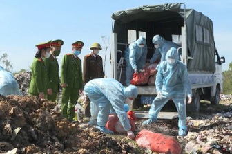 Mua hơn 5 tạ lợn nhiễm dịch tả châu Phi về giết mổ