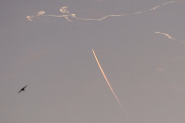 Tên lửa Iran xuyên thủng "Vòm Sắt", tấn công cơ sở quân sự Israel