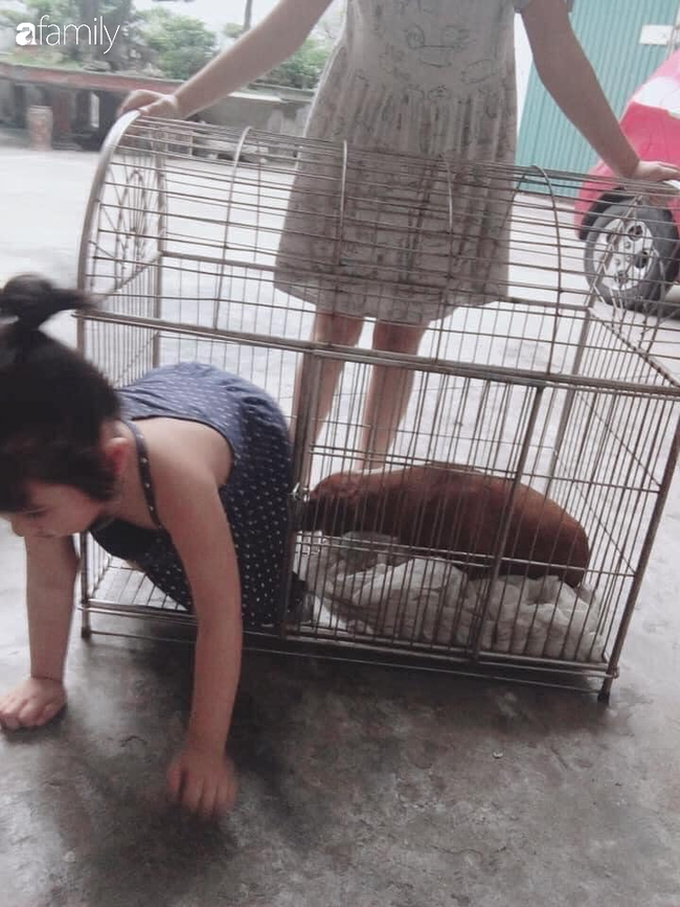 Cô bé xinh xắn năm lần bảy lượt đòi “ra riêng” trong chuồng chó, người mẹ bị mắng nhưng khi biết lý do, phụ huynh nào cũng đồng cảm - Ảnh 2. Cô bé xinh xắn năm lần bảy lượt đòi “ra riêng” trong chuồng chó, người mẹ bị mắng nhưng khi biết lý do, phụ huynh nào cũng đồng cảm - Ảnh 2.