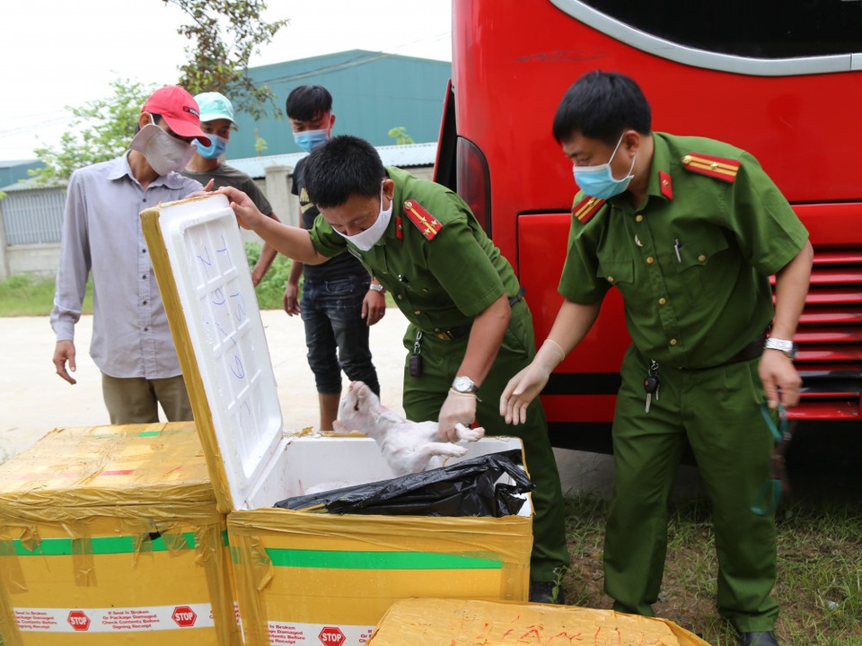 Bắt xe giường nằm chở 2,4 tấn thịt chó, mèo hôi thối - 1 Bắt xe giường nằm chở 2,4 tấn thịt chó, mèo hôi thối - 1