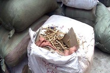 Dược liệu thuốc Bắc giá siêu rẻ từ Trung Quốc tuồn về Hà Nội