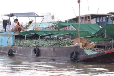 Cần Thơ: Thành lập Ban chỉ đạo bảo tồn và phát triển chợ nổi Cái Răng