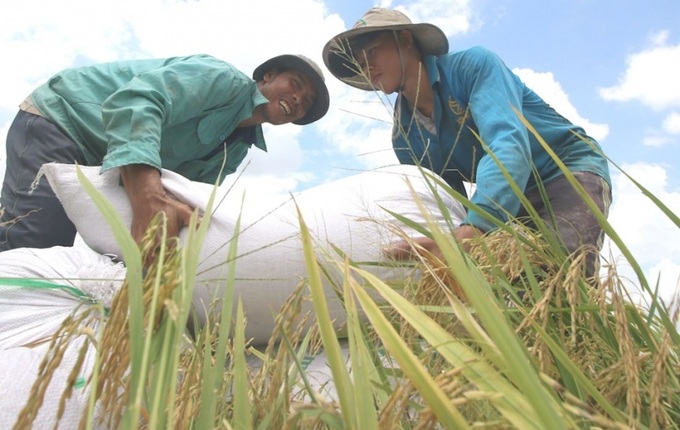 Thành tựu xóa đói giảm nghèo của Việt Nam được quốc tế đánh giá cao.