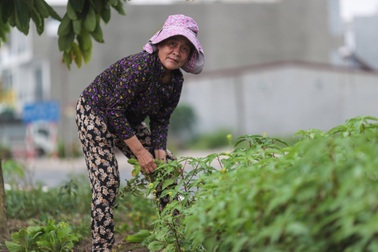 Cuộc di dân để làm sân bay Long Thành: An cư nhưng chưa "lạc nghiệp"