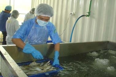 Khai trương Trạm trung chuyển thủy hải sản đầu tiên ở ĐBSCL