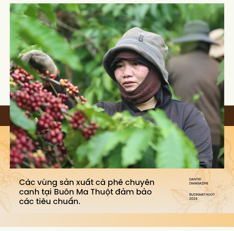 Buôn Ma Thuột trên hành trình trở thành Thành phố cà phê của thế giới - 5 Buôn Ma Thuột trên hành trình trở thành Thành phố cà phê của thế giới - 5