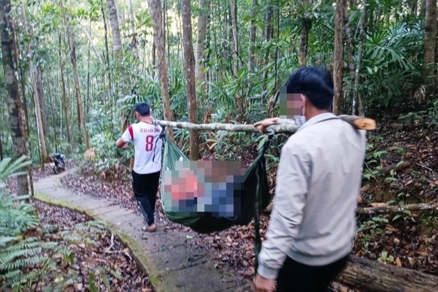 Nữ du khách bị cây đè tử vong trên đường đi chơi thác K50 - 1