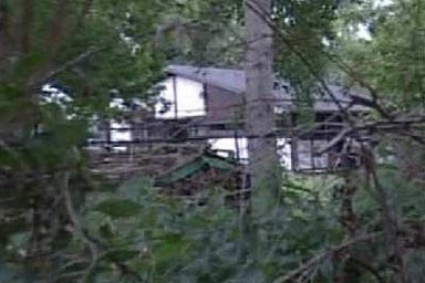  Đức: Nghi ngờ nguồn gốc dịch khuẩn E.coli là do giá đỗ, rau mầm