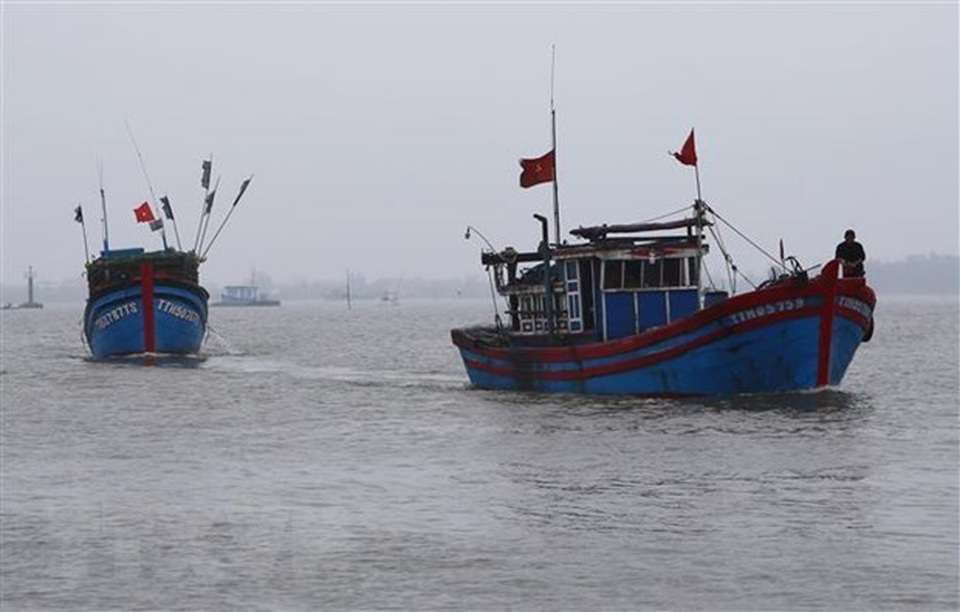 Thế giới lên án lệnh cấm đánh bắt cá của Trung Quốc ở Biển Đông - 1 Thế giới lên án lệnh cấm đánh bắt cá của Trung Quốc ở Biển Đông - 1