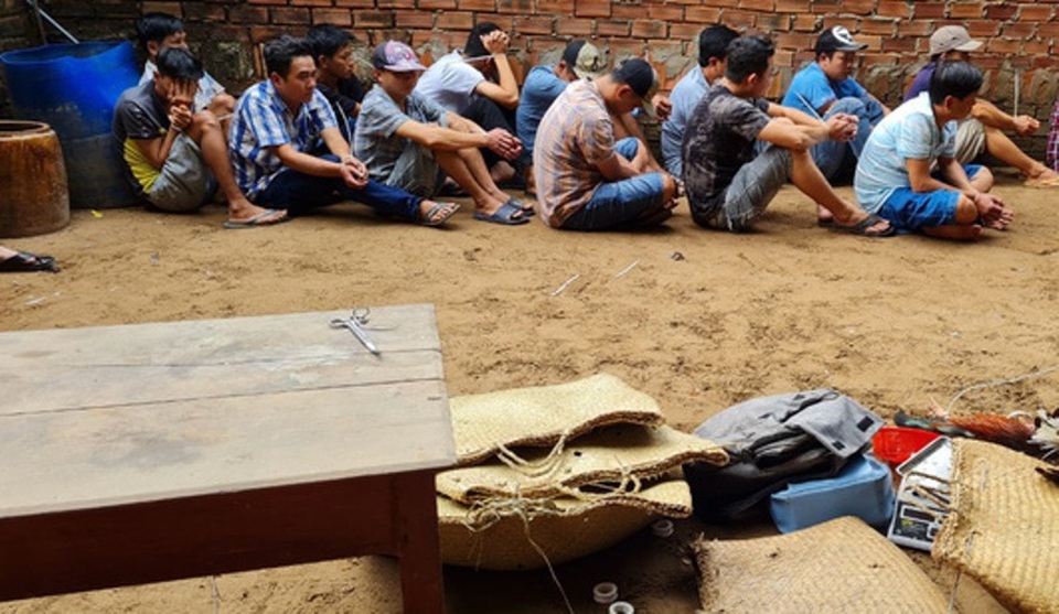 Bắt trùm đá gà Hoàng Quí - 2 Bắt trùm đá gà Hoàng Quí - 2