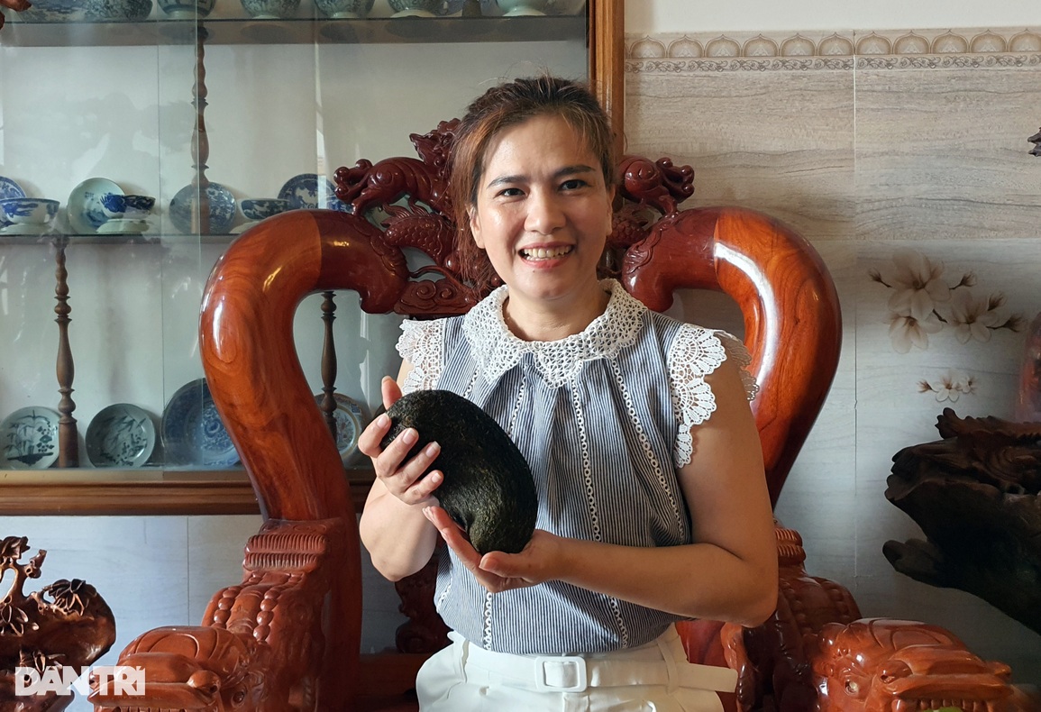 Vật giống cát lợn nặng hơn 1kg được trả giá 500 triệu đồng ở Phú Yên - 1 Vật giống cát lợn nặng hơn 1kg được trả giá 500 triệu đồng ở Phú Yên - 1