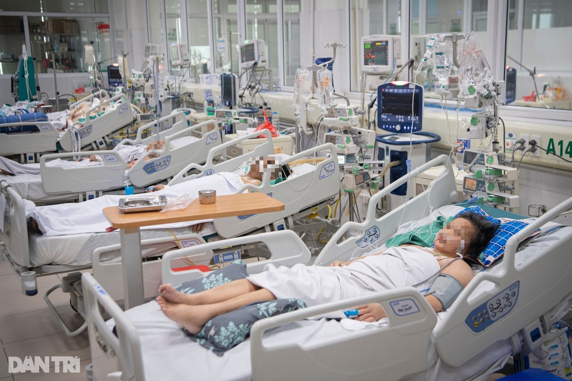 Áp lực giữ sinh mệnh những bệnh nhân cúm đông đặc phổi nặng nhất miền Bắc - 4 Áp lực giữ sinh mệnh những bệnh nhân cúm đông đặc phổi nặng nhất miền Bắc - 4