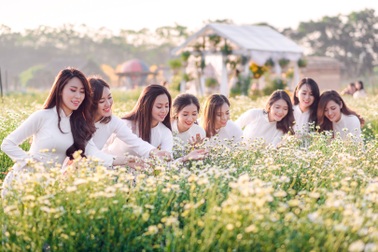 Nữ sinh Hà Nội khoe sắc bên cúc hoạ mi