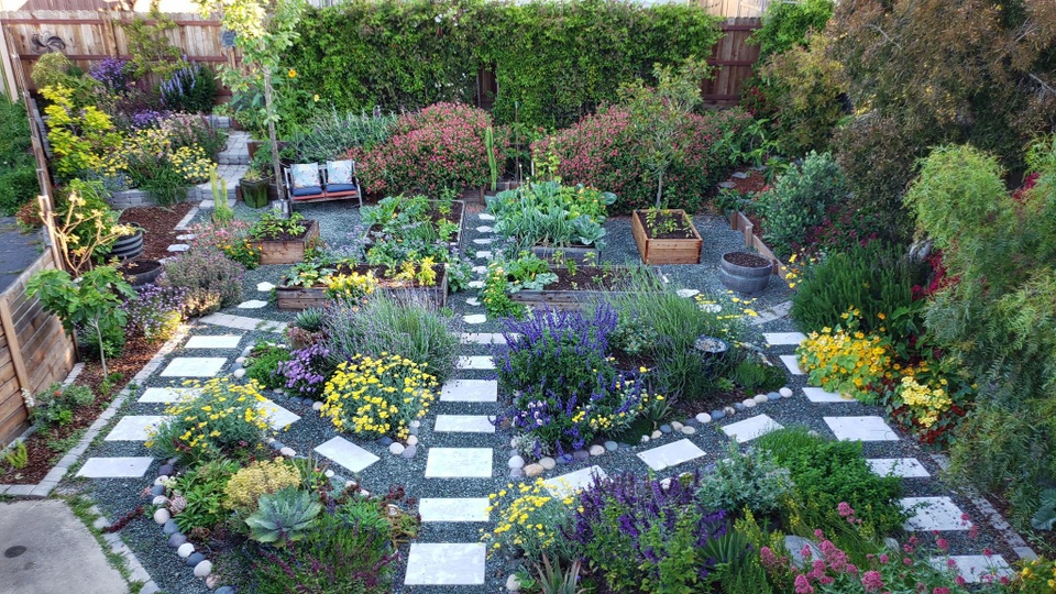 Cuộc sống bình yên trồng rau, nuôi gà đáng mơ ước của đôi vợ chồng trẻ - 1 Cuộc sống bình yên trồng rau, nuôi gà đáng mơ ước của đôi vợ chồng trẻ - 1