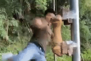 Biểu diễn đá gãy chân bò, võ sĩ Trung Quốc suýt làm gãy chân mình