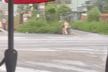 Đình chỉ cán bộ phường giằng co làm ngã người bán hàng rong