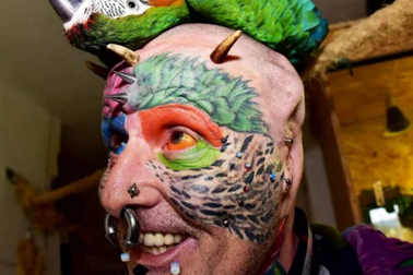 Cắt tai để trông cho giống... vẹt