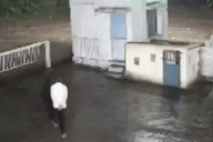 Nổi bật tuần qua: Người đàn ông đối mặt sư tử trong đêm và cái kết