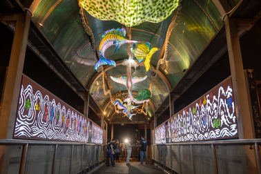 Cầu vượt bộ "ánh sáng" độc nhất Hà Nội