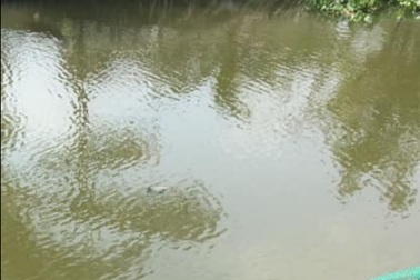 Người đàn ông Trung Quốc tử vong khi về Việt Nam ăn tết cùng vợ