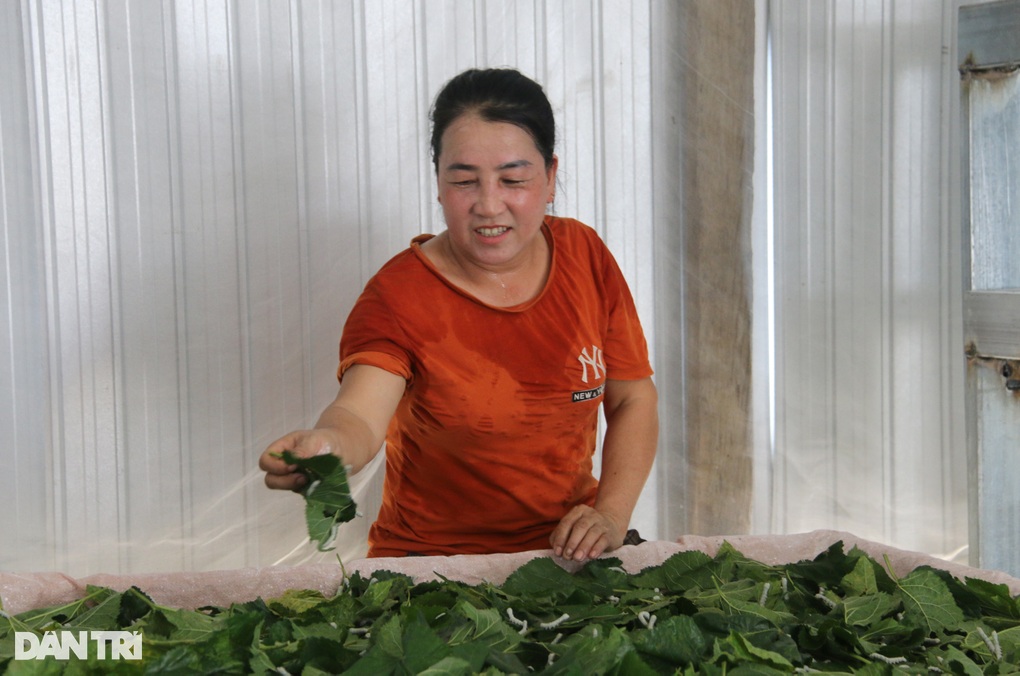 Chương trình mục tiêu quốc gia: Động lực để người dân thoát nghèo - 4 Chương trình mục tiêu quốc gia: Động lực để người dân thoát nghèo - 4