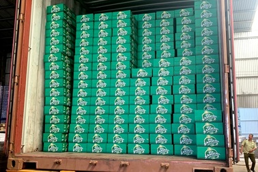 Bia Saigon Vietnam bị khởi tố “xâm phạm quyền sở hữu công nghiệp”