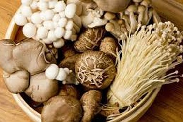 Bệnh nhân ung thư dạ dày nên ăn gì?