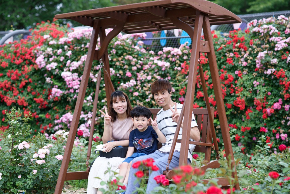 Vườn rau xanh,  bầu, bí trĩu cành của ông bố Việt giữa thủ đô Seoul - 9