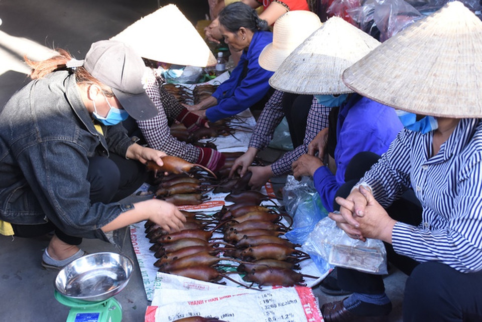 Làng bắt chuột Hải Dương vào mùa đắt hàng - 2 Làng bắt chuột Hải Dương vào mùa đắt hàng - 2