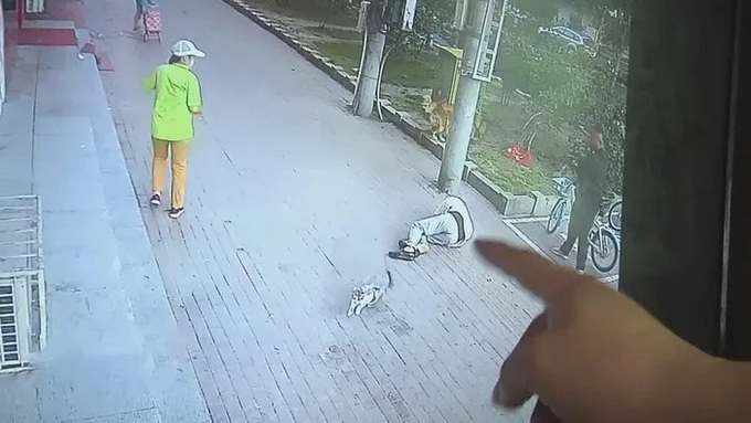 Cụ già bị mèo rơi trúng đầu bất tỉnh nhân sự, chó cưng giữ ngay thủ phạm lại để giải quyết - Ảnh 1. Cụ già bị mèo rơi trúng đầu bất tỉnh nhân sự, chó cưng giữ ngay thủ phạm lại để giải quyết - Ảnh 1.