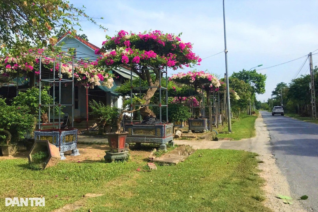 Từ vùng quê ven đô đến những triệu phú làng hoa - 1 Từ vùng quê ven đô đến những triệu phú làng hoa - 1